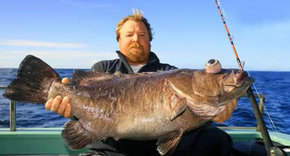 Bravo Fishing Charters - Lennox Head Accommodation