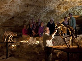 Naracoorte Caves National Park - Lennox Head Accommodation