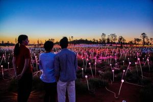 Uluru Field of Light Sunrise Tour - Lennox Head Accommodation
